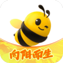 梅西加冕世界杯“历史第一人”：他不追赶纪录，而是开创时代